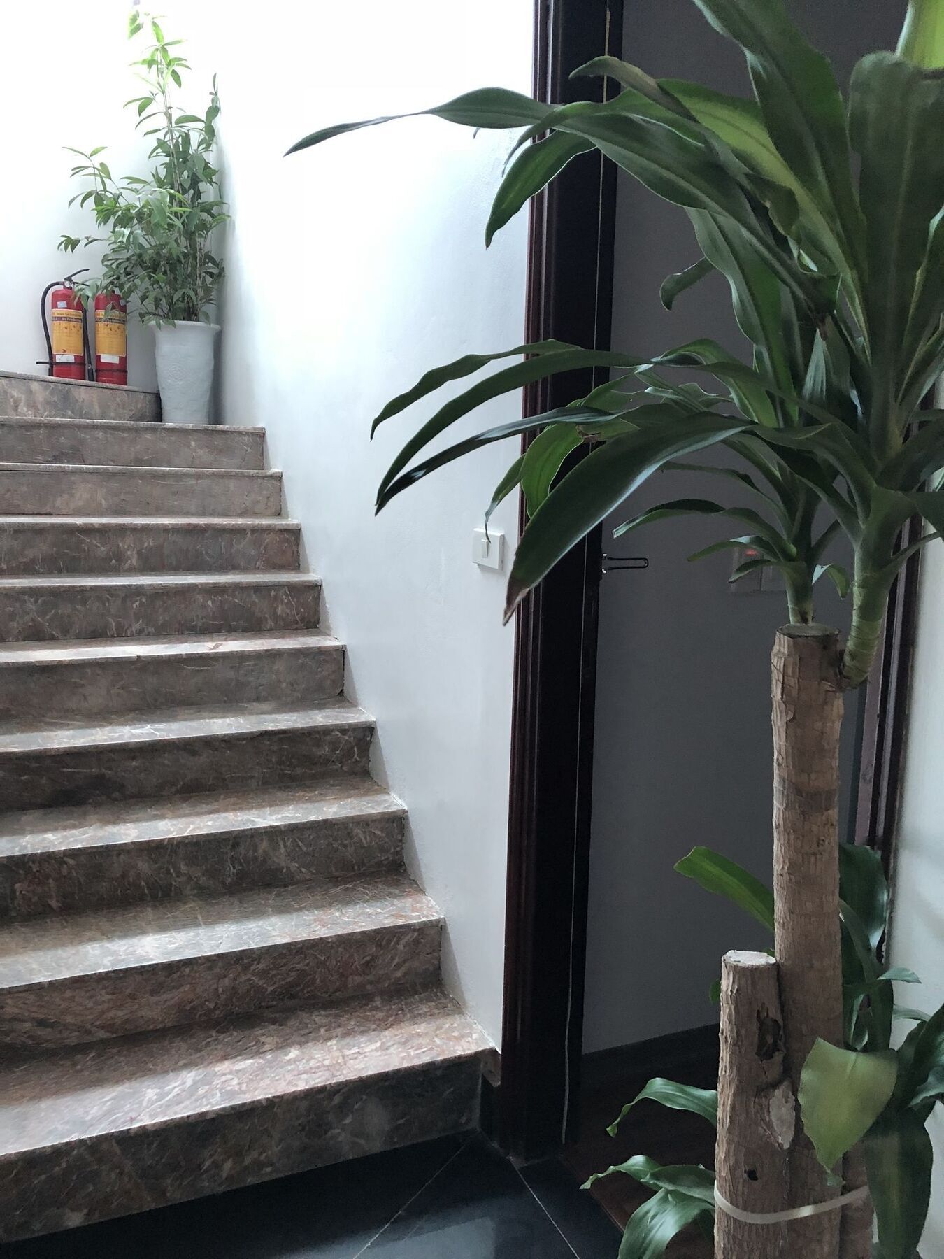 Halong Good Morning Hotel Hạ Long Exterior foto